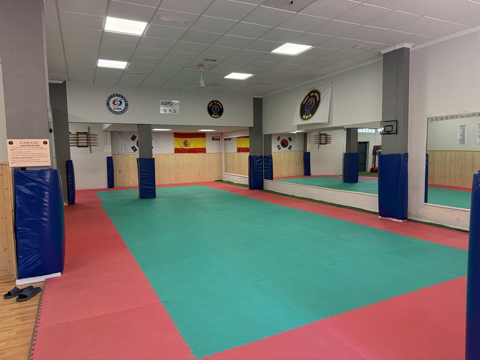 Tatami del Dojang Kwan Sul Hapkido Murcia