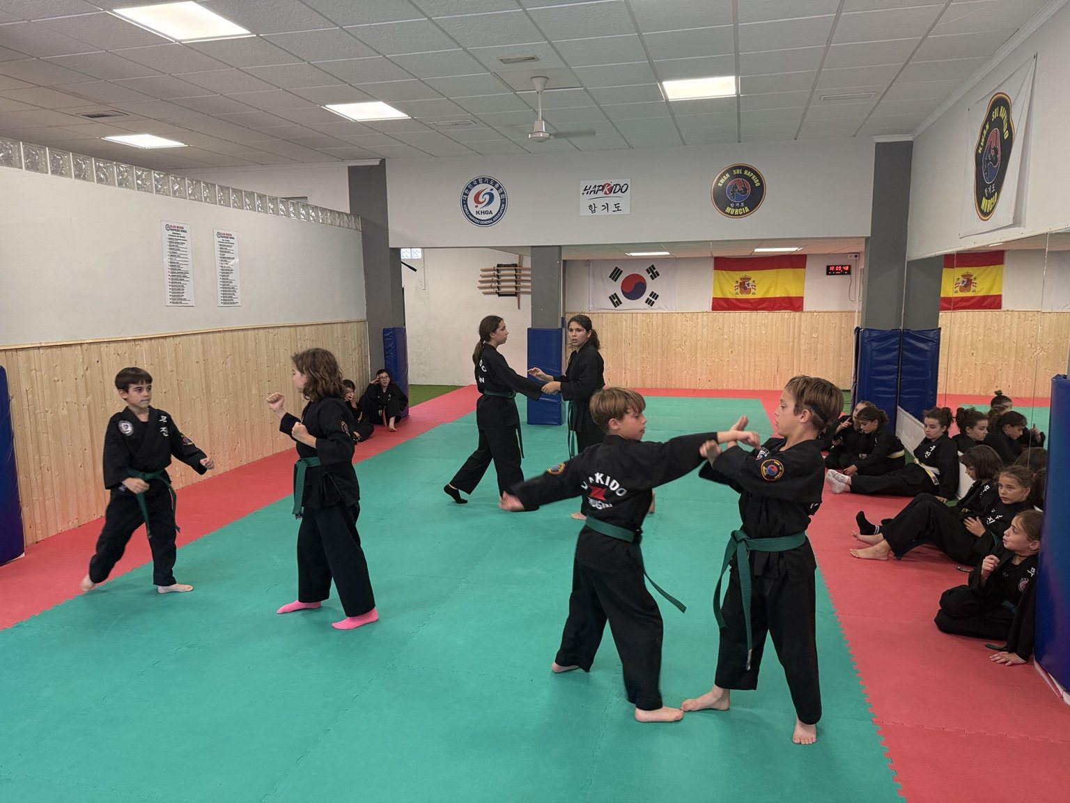 Práctica de técnicas de control de Hapkido